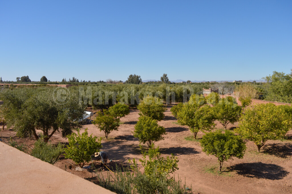 Splendide propriété de 2 hectares avec grande piscine et oliveraie