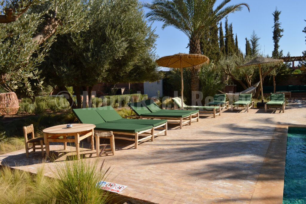 Splendide propriété de 2 hectares avec grande piscine et oliveraie