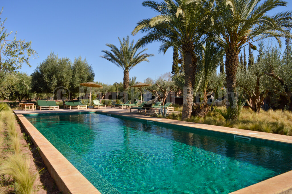 Splendide propriété de 2 hectares avec grande piscine et oliveraie