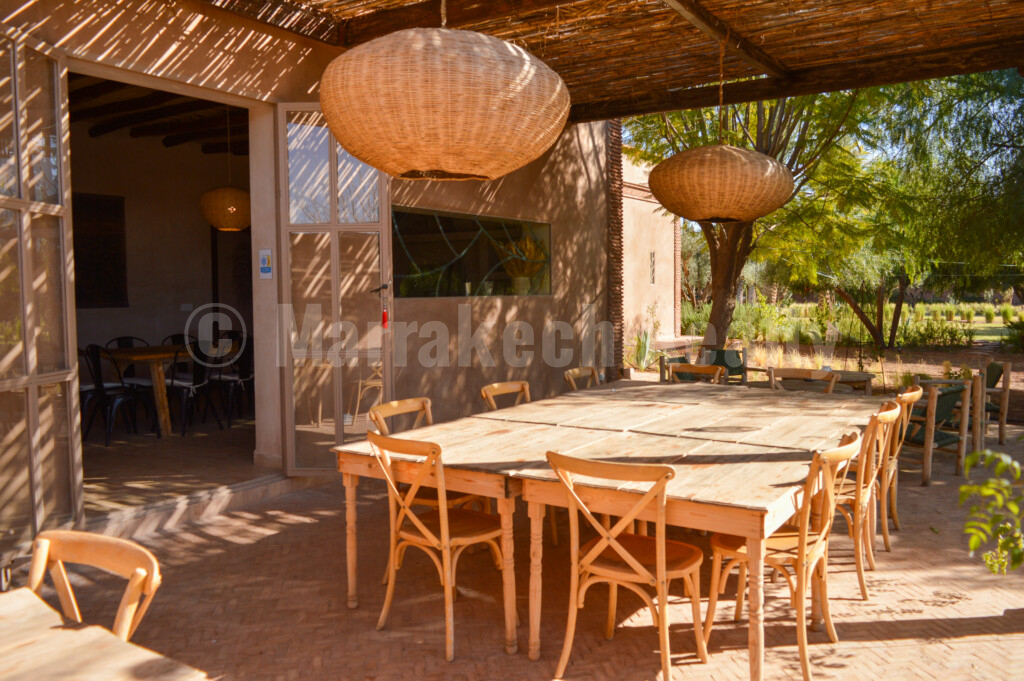 Splendide propriété de 2 hectares avec grande piscine et oliveraie