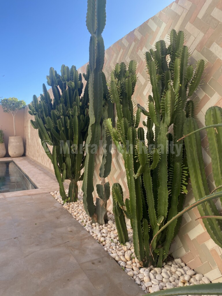 Villa contemporaine de 255 m² avec piscine, vue sur l’Atlas à 10 km du centre-ville de Marrakech