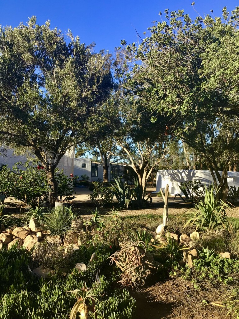 Superbe villa ferme de 5 chambres avec VNA et grande piscine