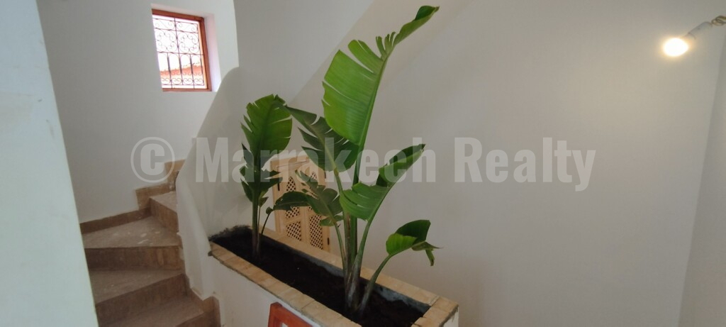 Riad with two swimming pools – 5 bedrooms – Guesthouse title and classification in progress