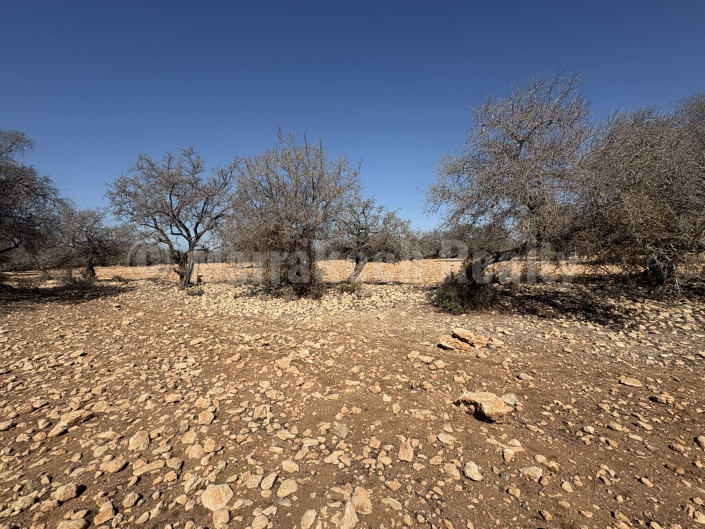 Tres beau terrain TITRE de 15 000 m2- tres bien placé