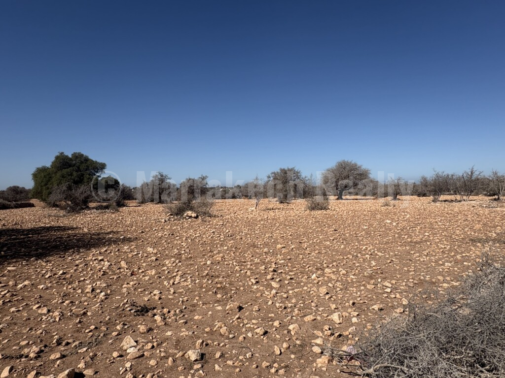 Tres beau terrain TITRE de 15 000 m2- tres bien placé