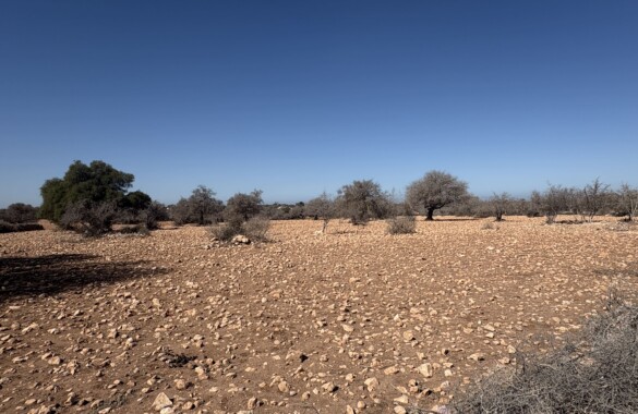 Tres beau terrain TITRE de 15 000 m2- tres bien placé