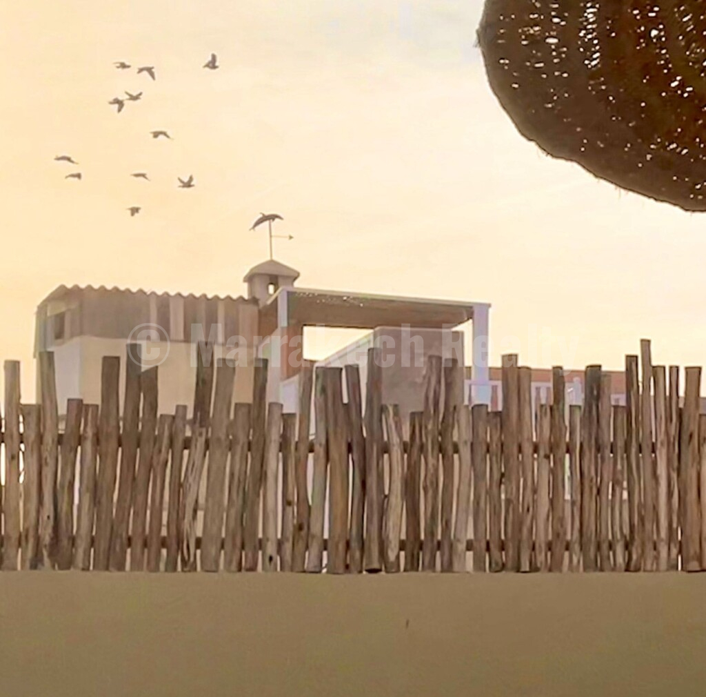 Stunning  6-bedroom guesthouse in Essaouira