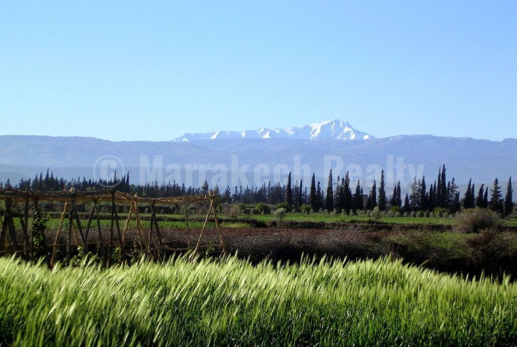 Eco-Lodge kasbah guest house on two hectares