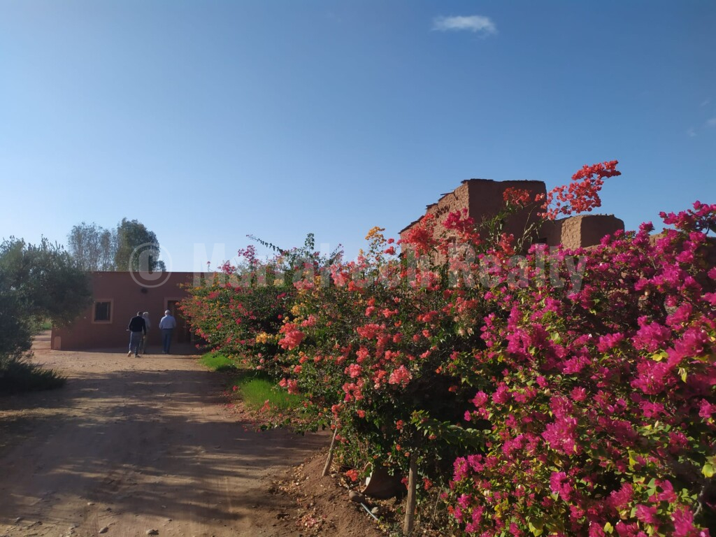 Eco-Lodge kasbah guest house on two hectares