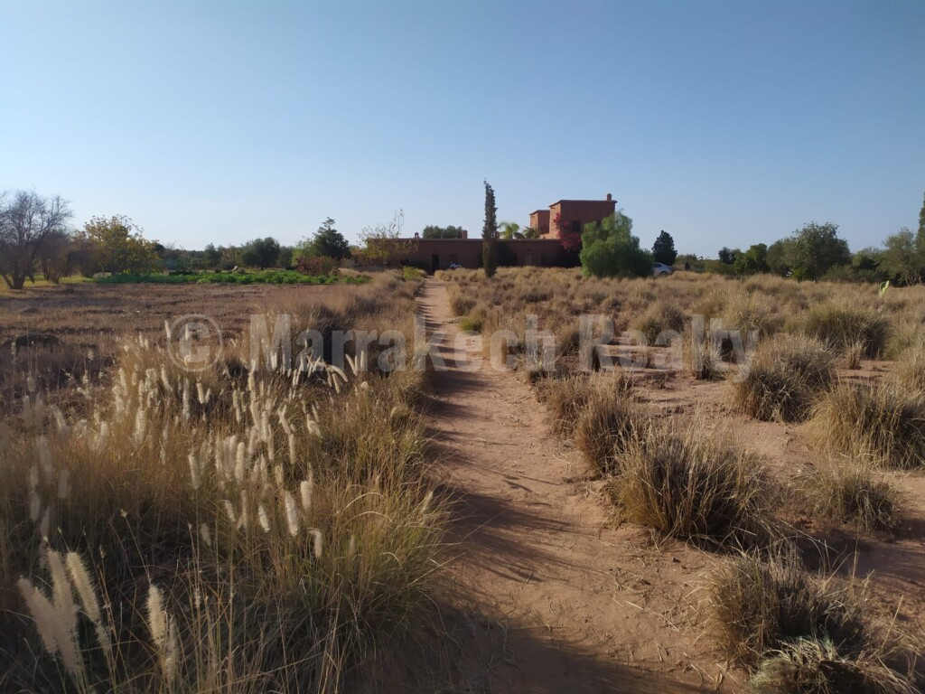 Eco-Lodge kasbah guest house on two hectares