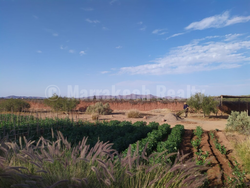 Eco-Lodge kasbah guest house on two hectares