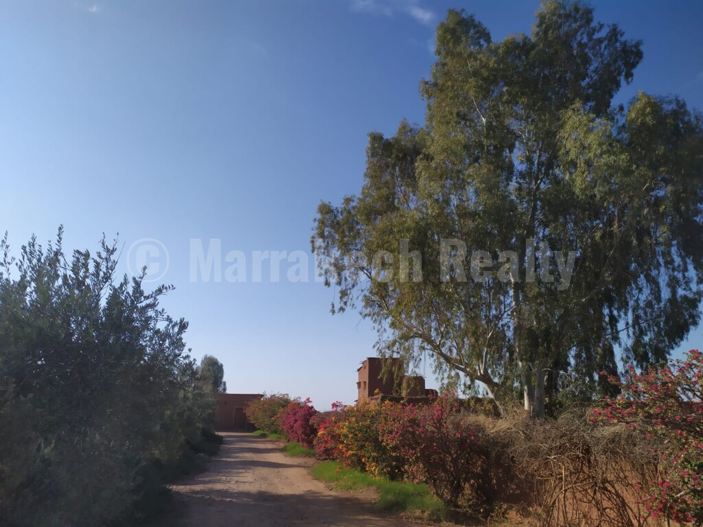 Eco-Lodge kasbah guest house on two hectares