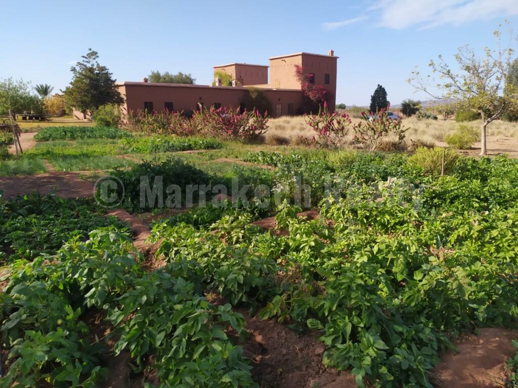 Eco-Lodge kasbah guest house on two hectares