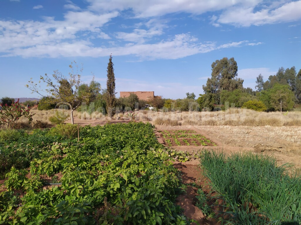 Eco-Lodge kasbah guest house on two hectares