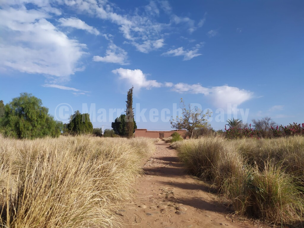 Eco-Lodge kasbah guest house on two hectares