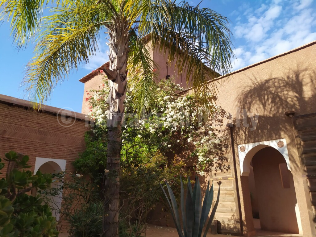 Eco-Lodge kasbah guest house on two hectares