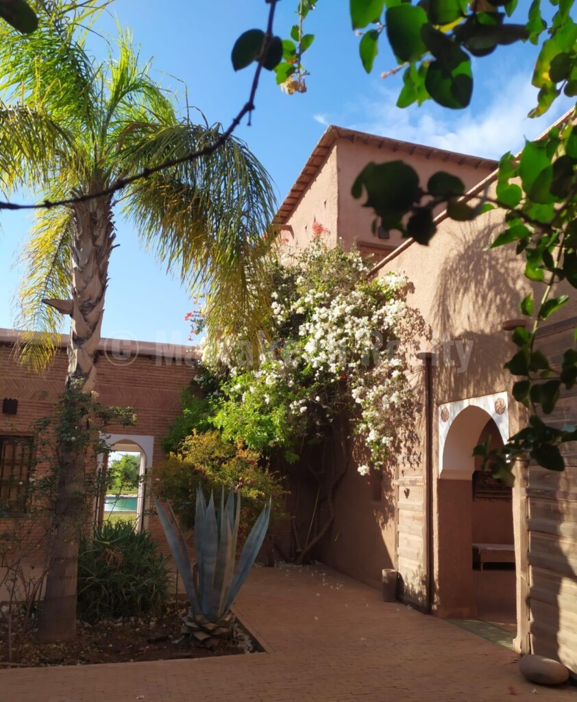 Eco-Lodge kasbah guest house on two hectares