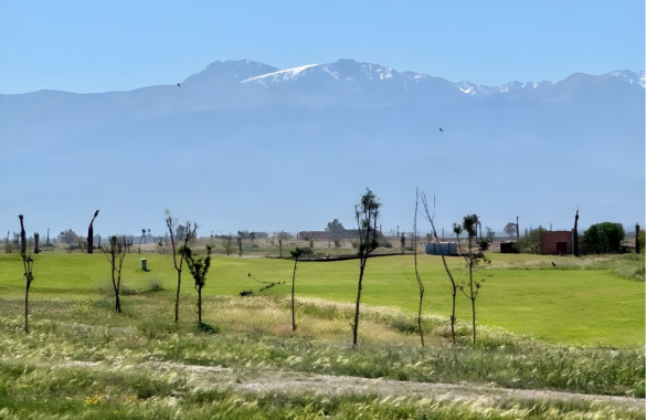 Plot of land for sale on the Tahanaout road