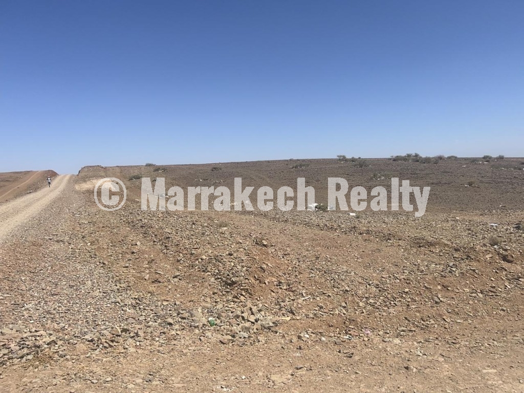 Lot de terrain de 2,5 hectare à vendre à Sidi Bou Othmane
