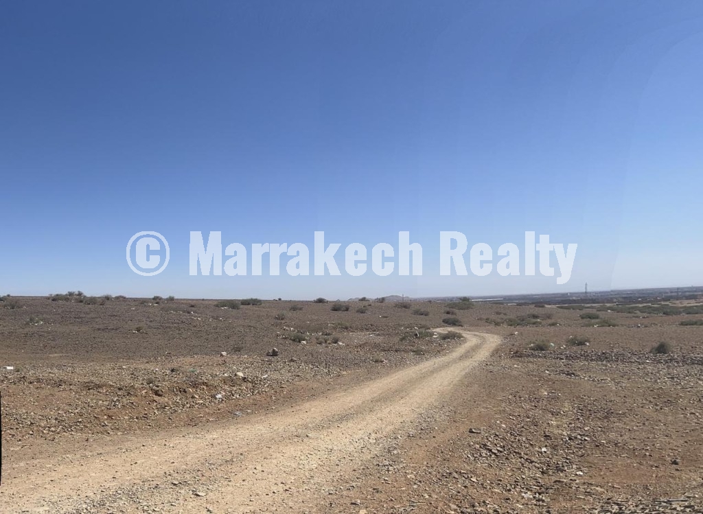 Lot de terrain de 2,5 hectare à vendre à Sidi Bou Othmane