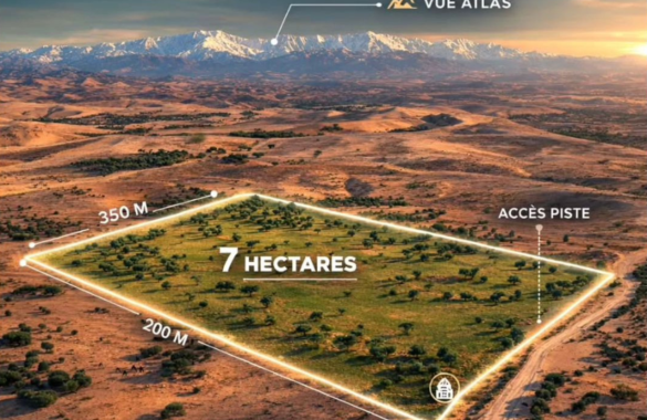 Rare 7-hectare plot of land for sale – Agafay Aït Imour