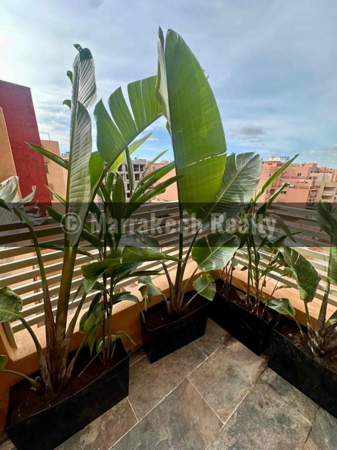 Superb apartment next to Carré Eden