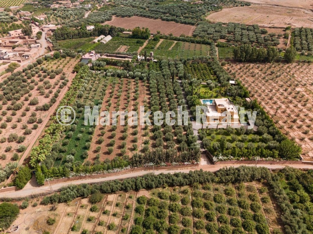 Luxury Farmhouse Villa for Rent – Fes Road