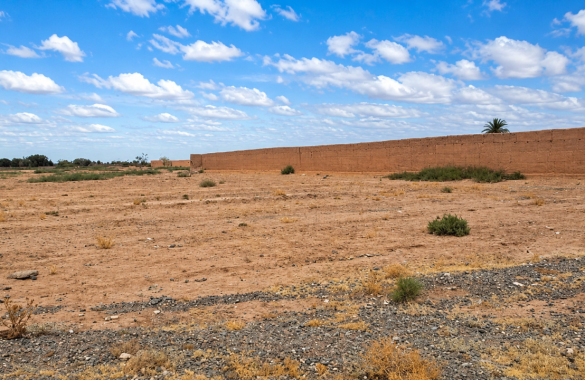 Terrain de 7 hectares titré à vendre à Marrakech