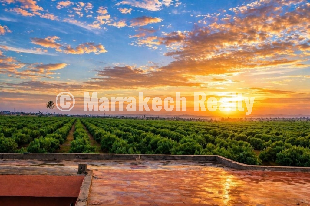 Maison traditionnelle à vendre à Bab Ahmar – Vue Jardins D’Agdal
