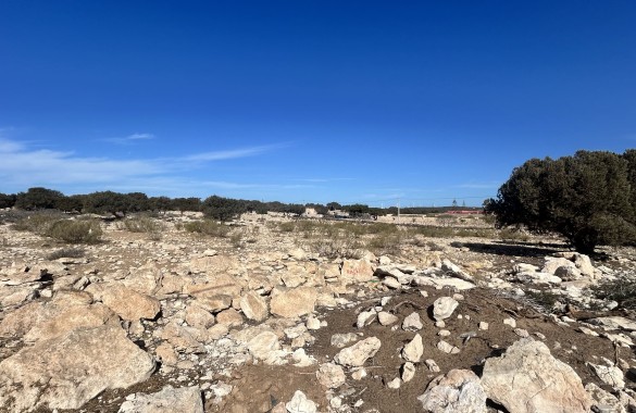 Terrain à vendre à Sidi Kaouki avec VNA définitive et permis de construire